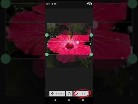 memopad with photo