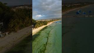 Why is this Filipino beach covered in green slime? 🇵🇭🤢