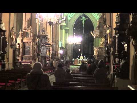 Krzyżu święty nade wszystko. Katedra Frombork.