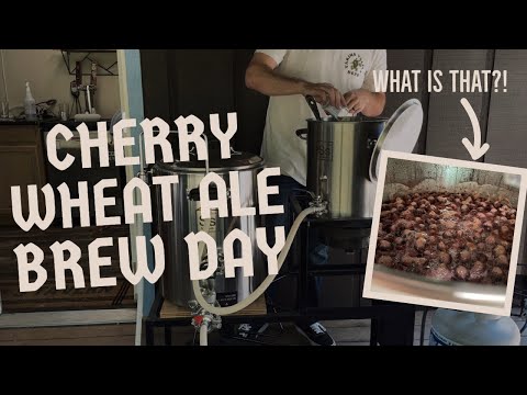 Brewing an Cherry American Wheat Ale (Grain to Glass)