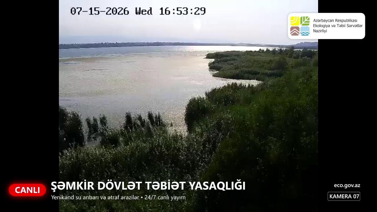 Live webcam view of Shamkir Sanctuary Wildlife Cams
