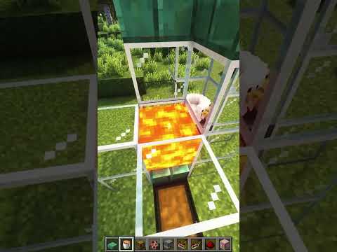 Minsqa -  What is this chicken?  #minecraft #minsqa #shorts #minecraftfarm #redstone #minecraftsmp