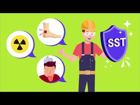 Sistemas de gestión de la seguridad y salud en el trabajo