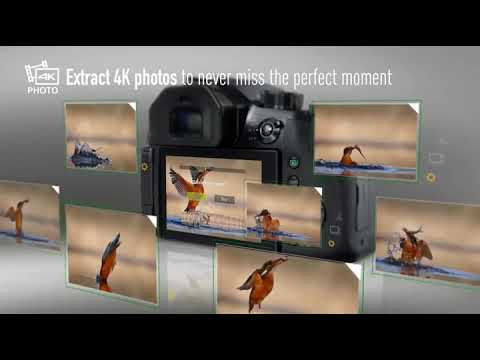 THE BEST GADGET ON AMAZON PANASONIC LUMIX FZ300