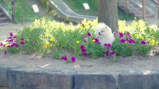 새벽공방(SBGB) - 사랑인 줄 알았어 (TAKE ME OUT)