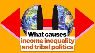 What causes income inequality and tribal politics | Bill Drayton