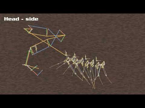 Task 3.4.1 : Biomechanical Simulation of Millipedes gait - work in progress (movement modeling)