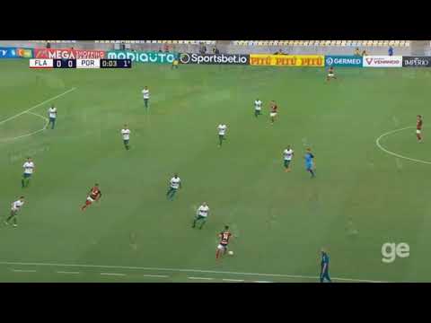Flamengo 2x1 Portuguesa - Carioca 2020 - Melhores momentos e gols (HD)