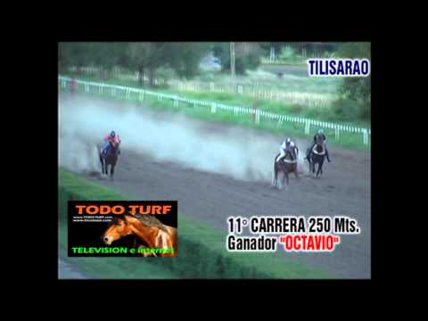11°CARRERA Ganador OCTAVIO