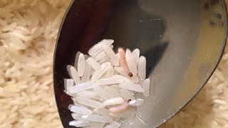 How to Remove White Worms From Rice?