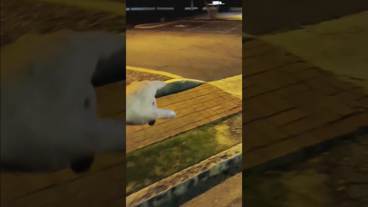 Carolinafoothillsfcu.coop 520 n church st credit union improvement suggestions part 3