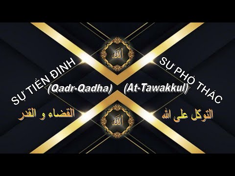 SỰ TIỀN ĐỊNH (QADR-QADHA) & SỰ PHÓ THÁC (AT-TAWAKKUL)