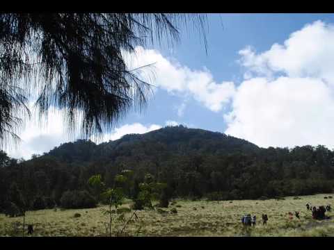 KISAH YANG BIRU dan kasetnya di Toko Terdekat Maupun di  iTunes atau Amazon secara legal download gudang lagu mp3 terbaru 2019 Download Mp3 Boomerang Daunku Hijau