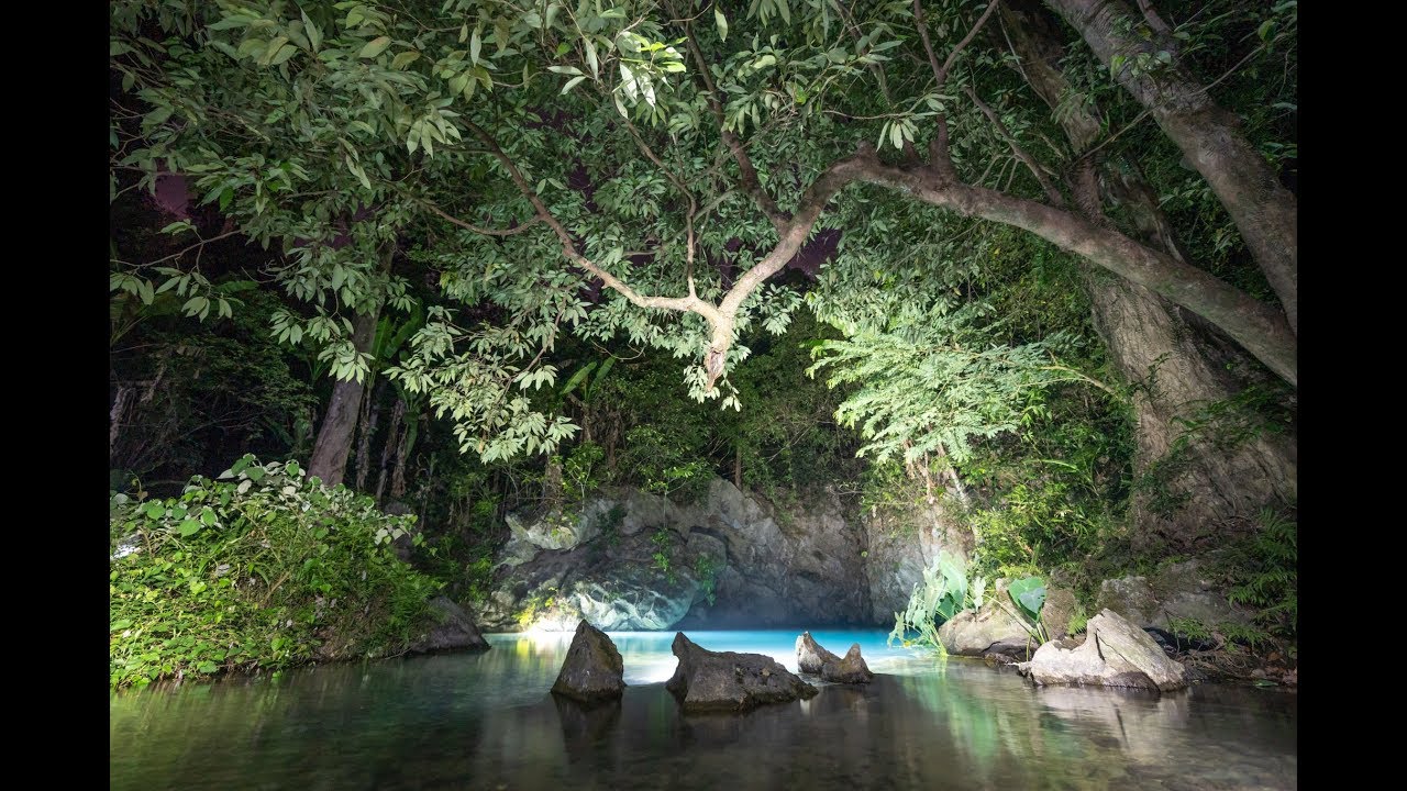 Embark on a thrilling cinematic jungle adventure through Ma Da Valley, exploring dense forests, crossing rivers, uncovering hidden caves, and witnessing Phong Nha's untamed beauty.