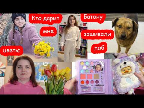 VLOG Собакам нужна помощь. Поссорилась с мамой. Кто меня укусил за попу