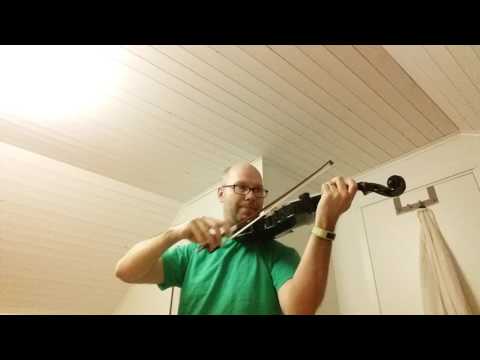 Lär mig spela fiol - dag 1