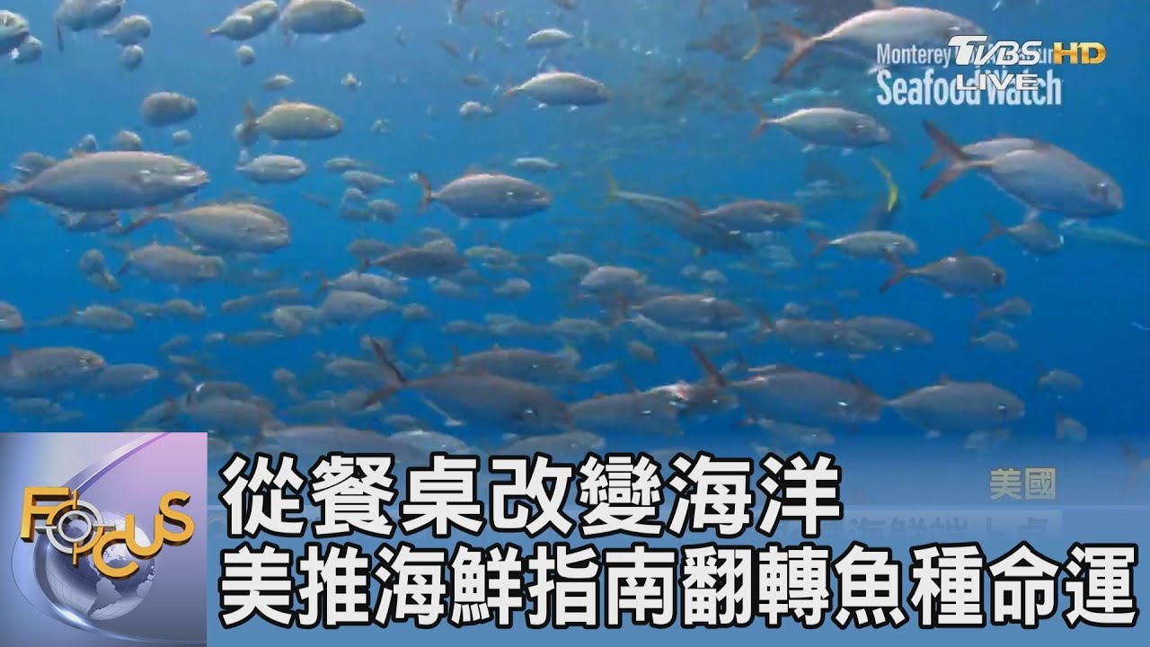 從餐桌改變海洋 美推海鮮指南翻轉魚種命運