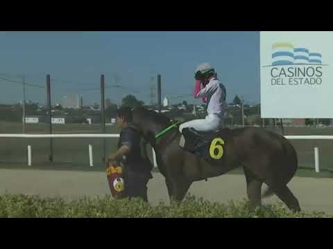 CARRERAS SINT FLORIDA 230309 c02 - 1° TOMILLO