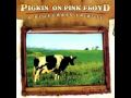Pickin' on Pink Floyd Bluegrass Tribute - Astronomy ...