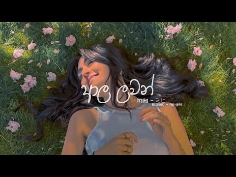 Ala Lawan | ආල ලවන් ( Slowe + Reverb) - @Mihi_slowed
