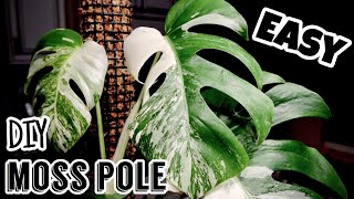 Easy DIY Moss Pole