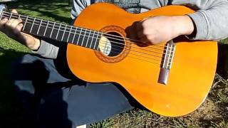 ~ Pink Moon ~ cover nickdrake incredible