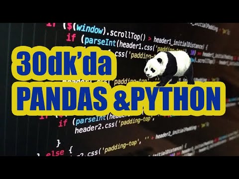 30dk'da Python Pandas Eğitimi