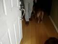 Rusty And Jake Meeting