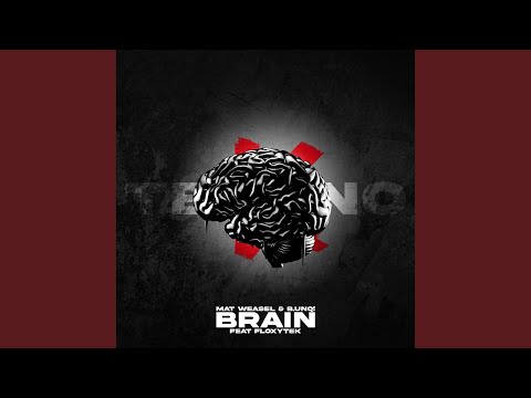Brain