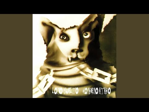 Un Ángel para Tu Soledad