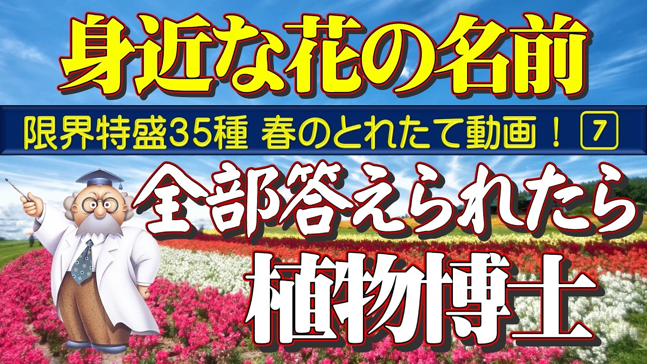 限界に挑戦！特盛り35種【身近な花の名前がわかる】全部答えられたら「植物博士」！全てオリジナル動画で、昨年の動画は一切使用していません。〈2026年版⑦〉