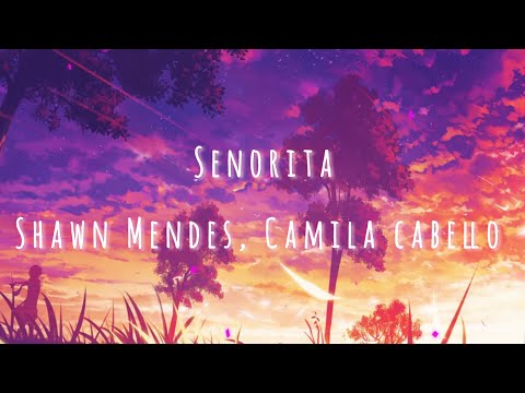 Senorita||Shawn Mendes|Camila Cabello||#viral #lyricalvideo #4k #reelstrendingsong #lyrics