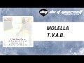 MOLELLA T V A B Official