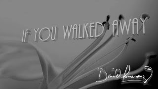 David Pomeranz + If You Walked Away + Lyrics / HD