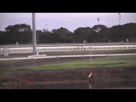 BELLARINE BEAUTY and VILANELLE