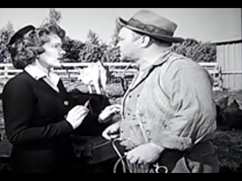 You ain't gonna stick that thang in me