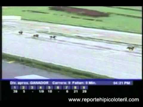 Resumen Sábado 12 de Noviembre de 2011 - La Rinconada