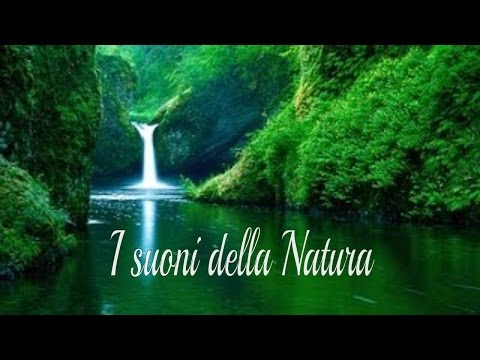 Metà mal di schiena sul lato destro Noodle in malattie delle articolazioni
