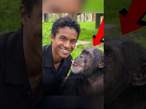 LA REALIDAD DEL CHIMPANCE DE MICHAEL JACKSON