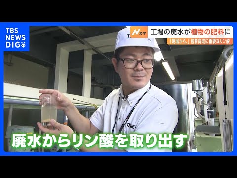 化学薬品を使わずに植物の成長を促進する、オレンジの皮から作られた天然肥料の 2 つのアイデア  庭園