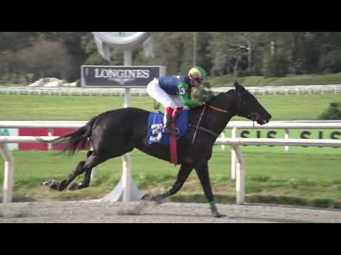 230820 c06 XIANGGANG IDOL (BRZ)