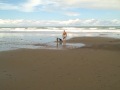 More Dogs On The Beach