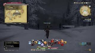 ファイルファンタジー14 がち初心者　教えてほしい