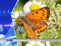 thumbnail text