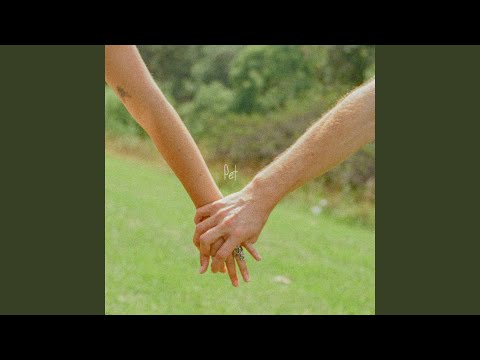 Pet