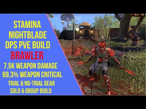 ESO Stamina Nightblade DPS PVE Build - Brawler - High Isle