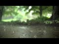 Koi Fariyad Song With Rain Sad Song Whatsapp Status 2021