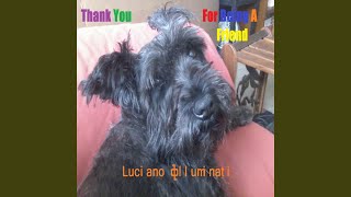 Thank You for Being a Friend