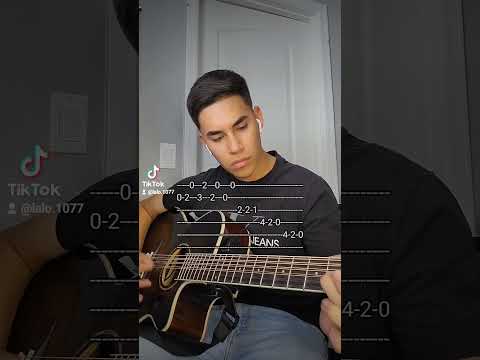 Toro Encartado - Ariel Camacho