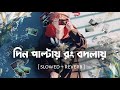 Din Paltai Rong Bodlai Slowed Reverb Lofi Mix